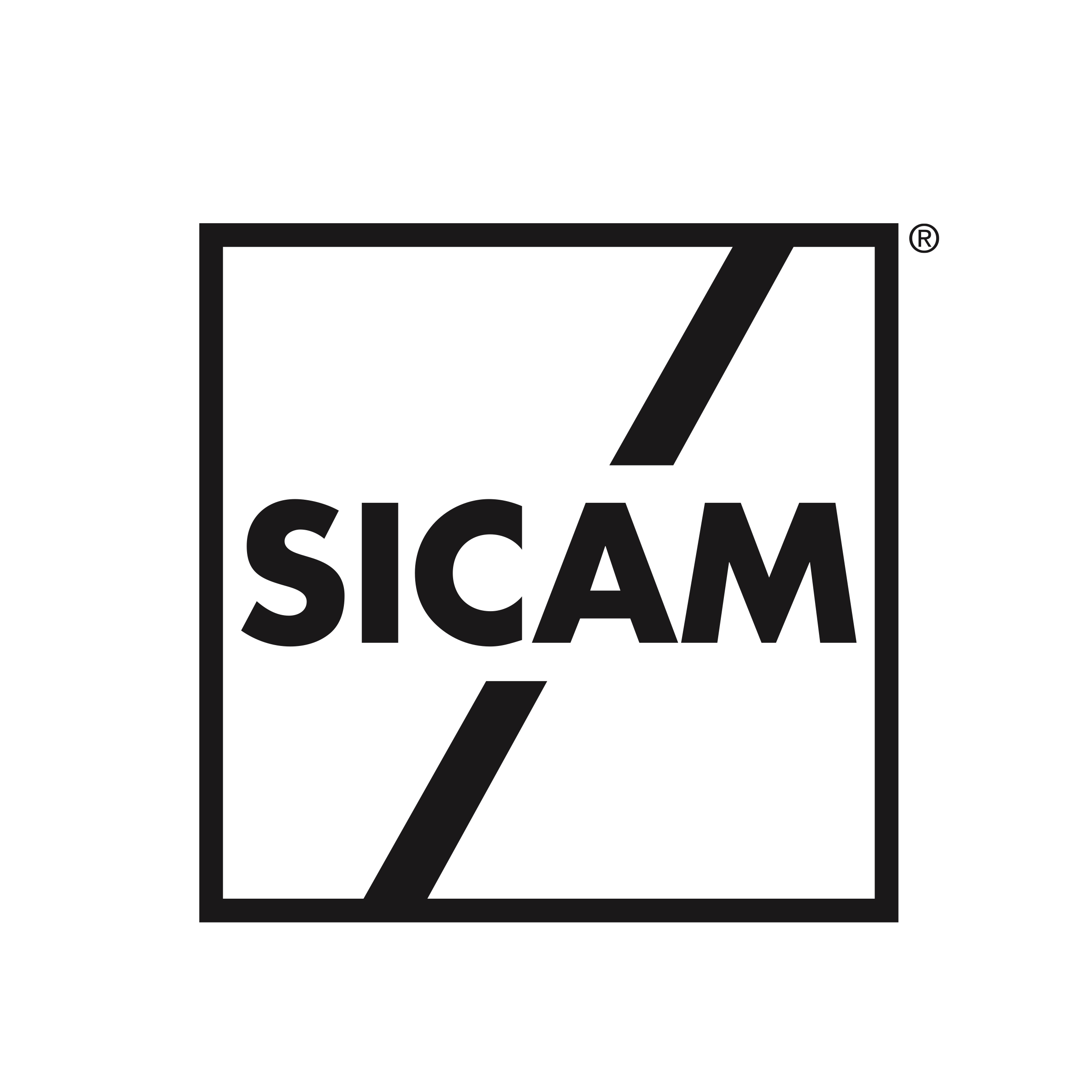 SICAM 2024